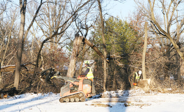 More storm clean-up